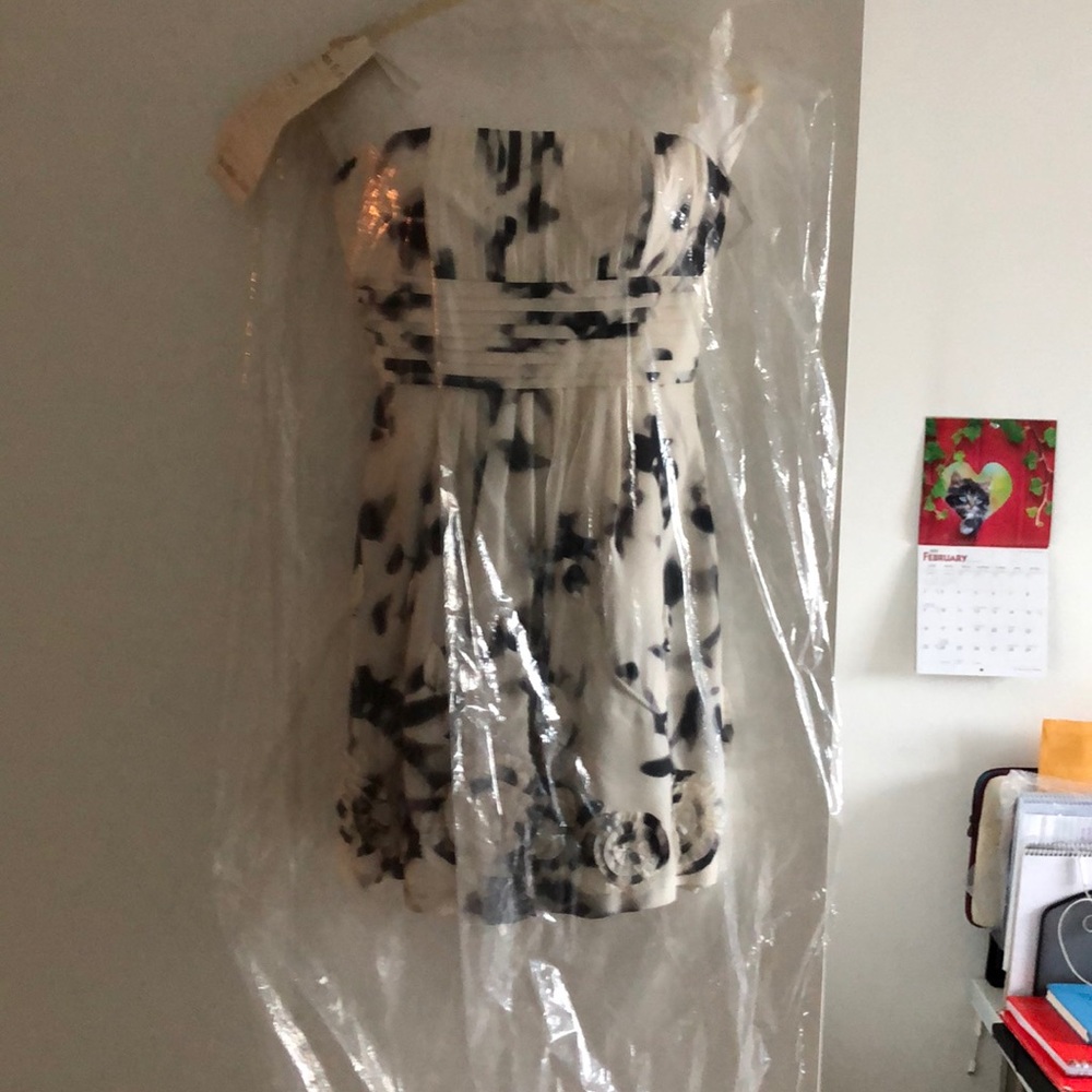 BCBG Dress